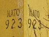 NATO spēku izvietošanu kavē vien pielāgojams godavārds