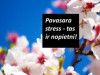 Pavasarī būtiski izprast veidus, ar kādiem spēt pārvarēt stresu